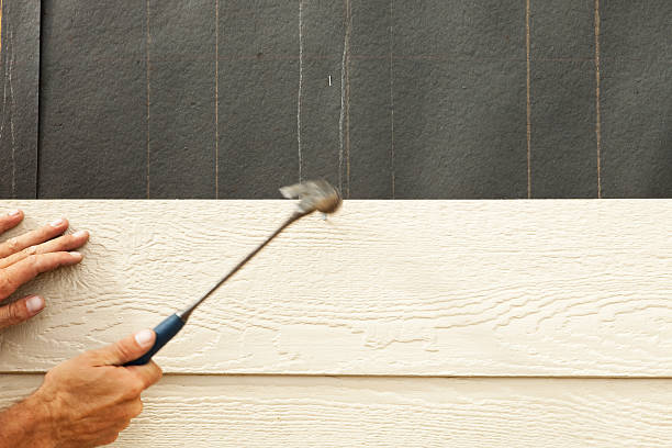Best Storm Damage Siding Repair  in Morrison, IL